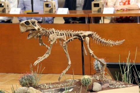 Se dan a conocer fósiles de nuevos dinosaurios encontrados en Coahuila