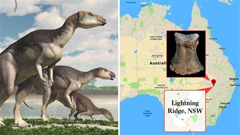 Se descubre nueva especie de dinosaurio tras 15 años sin ...