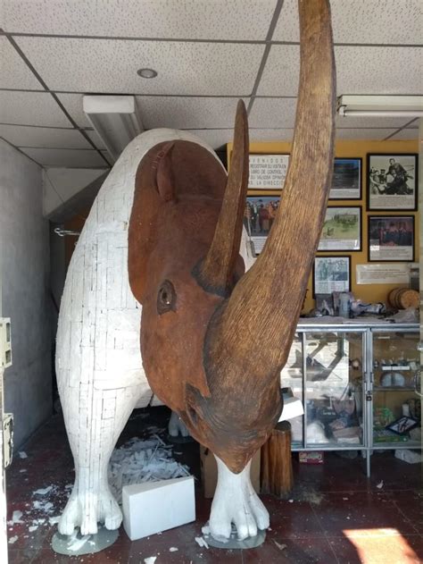 Se nos acabó el espacio: Museo Paleontológico de La Laguna ...