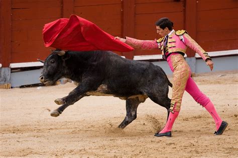 Se prohibieron las corridas de toros en Madrid debido al ...