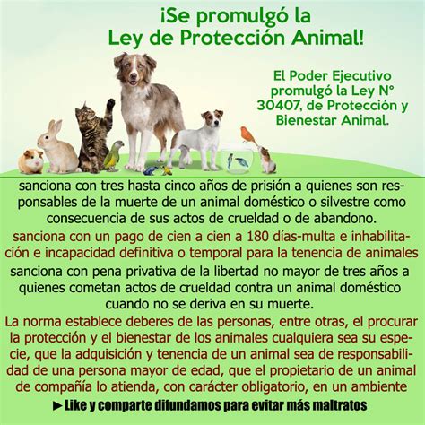 SE PROMULGÓ LEY DE PROTECCIÓN Y BIENESTAR ANIMAL EN PERÚ