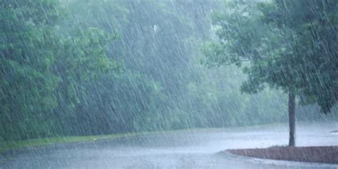 Se registran lluvias de 9 a 75mms en el distrito. El evento perdura ...