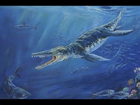 Sea Monsters from Cretaceous Australia   YouTube