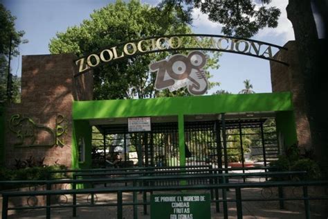 Secretaria de Cultura: «Zoológico Nacional está en proceso ...