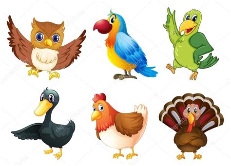 Seis especies diferentes de aves Imagen Vectorial de ...