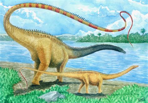 Seismosaurus | Dinosaurio.info