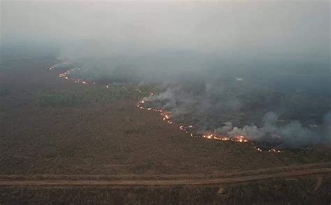Selva amazónica: incendios forestales aumentaron en 2019