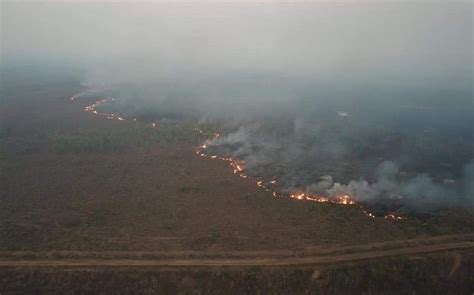 Selva amazónica: incendios forestales aumentaron en 2019