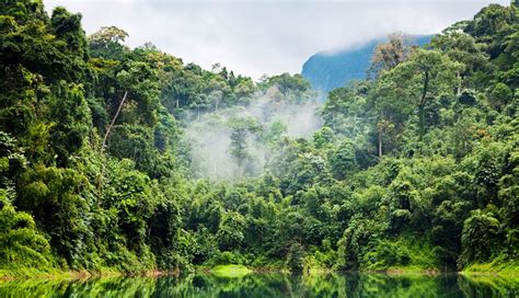 Selva Amazonica   los lugares mas bonitos del mundo