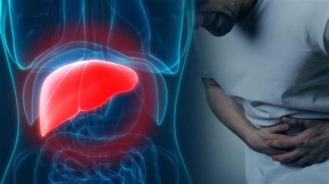 Señales que alertan del hígado graso | La Verdad Noticias
