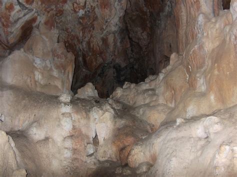 Senderismo y botánica: La cueva de los diablos  Gestalgar