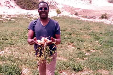 Senegal: La agricultura orgánica al servicio de la sociedad