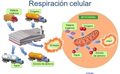 septiembre 2016 – Biología Como Ciencia