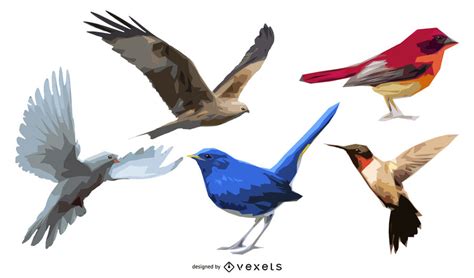 Set of 5 illustrated birds   Vector download