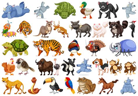 Set of animals sets   Download Free Vectors, Clipart ...