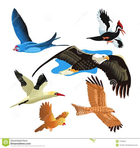 Set of birds stock vector. Illustration of kite, feather ...