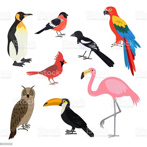 Set Of Cartoon Cute Birds On White Background Stock ...