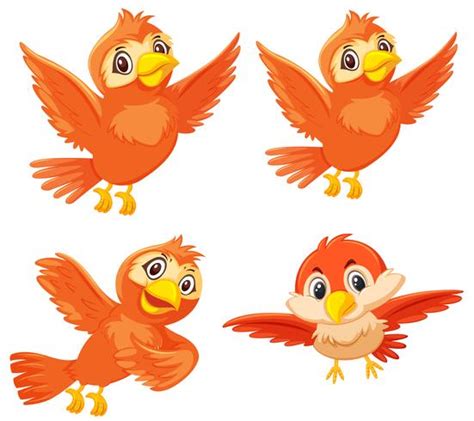 Set of cute orange birds   Download Free Vectors, Clipart ...