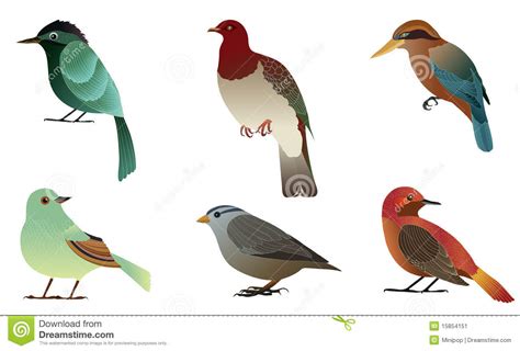 Set Of Different Birds. Stock Image   Image: 15854151