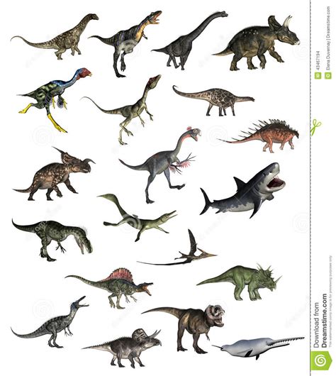 Set Of Dinosaurs   3D Render Stock Illustration ...