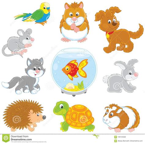 Set of pets stock vector. Illustration of collection ...