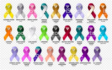 Set Ribbon All Cancers Cancer Awareness Ribbons Vector ...