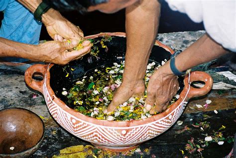 Shamanic ritual herbal and flower baths | Ayahuasca Retreats