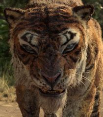 Shere Khan Voice   Jungle Book franchise | Behind The ...