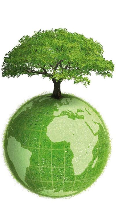 Si dieran wi fi todos plantariamos un árbol   Ecología ...