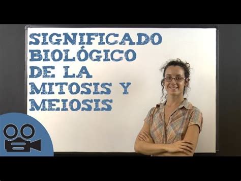 Significado biológico de la mitosis y meiosis   YouTube