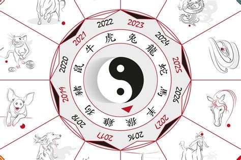 Signos del horóscopo chino y sus características   WeMystic
