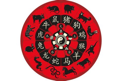 Signos del zodiaco chino y sus caracteristicas