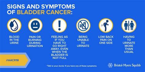 Signs and Symptoms of Bladder Cancer | Dr. Kelley s ...