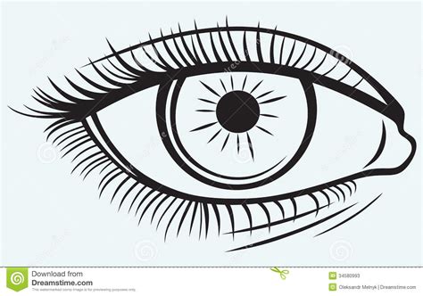 Silhouette of a female eye stock vector. Illustration of ...