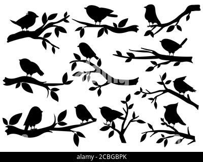 Siluetas de aves voladoras e ilustración de ramas aisladas sobre fondo ...