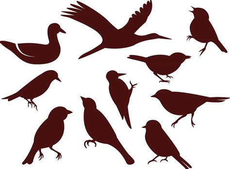 Simple birds silhouette vector set | Free download