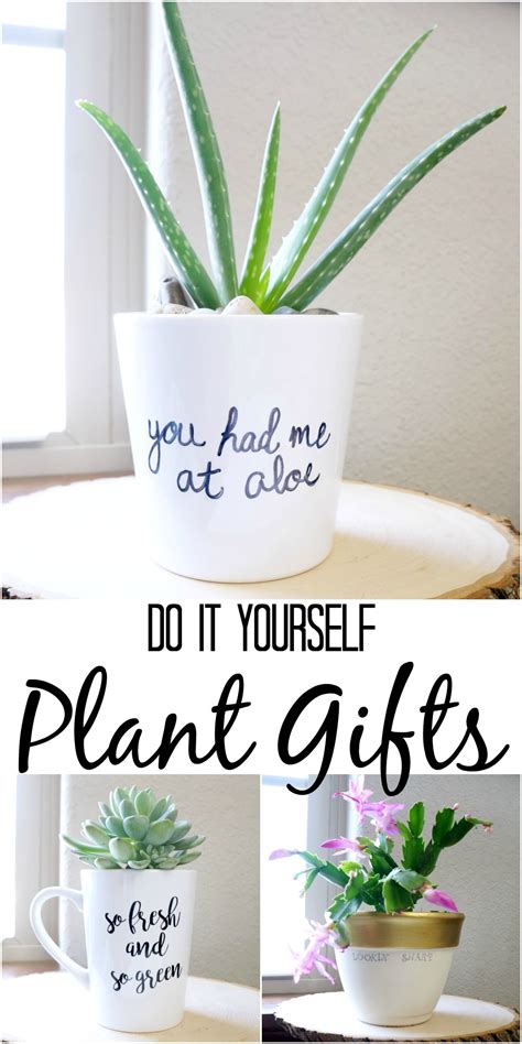 Simple DIY Plant Gifts  With images  | Plant puns ...