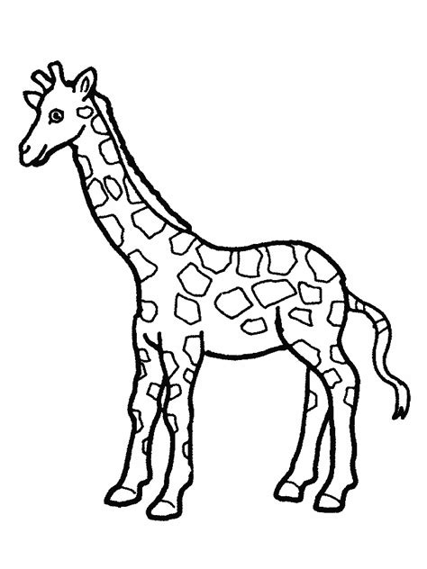 Simple Giraffe Drawing at GetDrawings | Free download