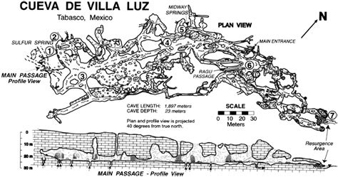 Simplified cave map of Cueva de Villa Luz. Circled numbers represent ...