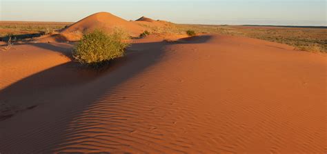 simpson desert Full HD Wallpaper and Background Image | 3008x1416 | ID ...