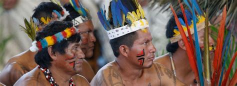 Sínodo Amazonía 2019 archivos