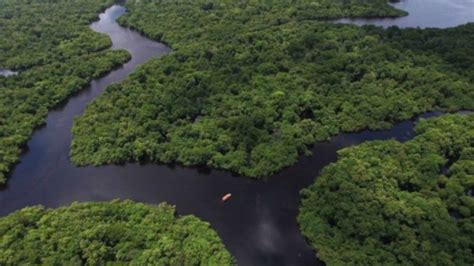 Sínodo de la Amazonía:  Misioneros que no evangelizan, un ...
