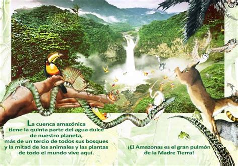 Sínodo de la Amazonía: “Nuevos caminos para la iglesia y ...