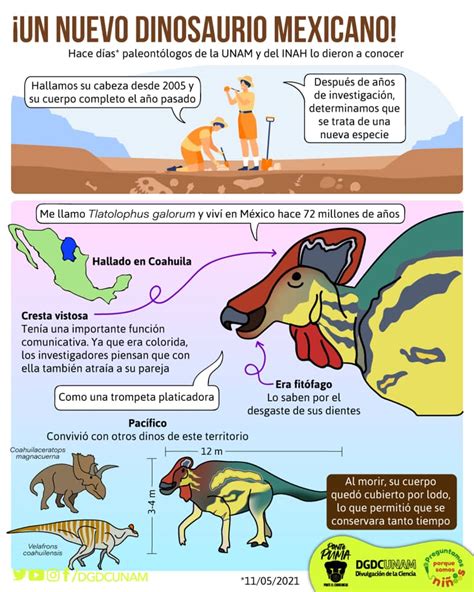 Sintético 100+ Artículo de divulgación científica sobre los dinosaurios ...