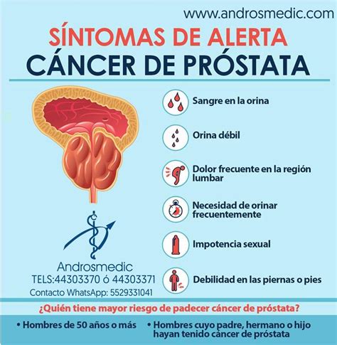 Síntomas de Alerta de Cáncer de Próstata   ANDROSMEDIC