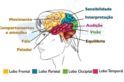 Sintomas gerais e específicos de tumor no cérebro   Tua Saúde