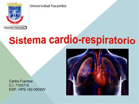 Sistema cardio respiratorio carlos fuentes