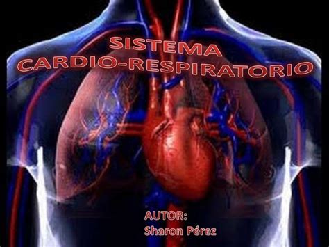 Sistema cardio respiratorio