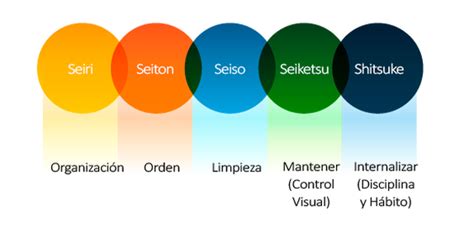 Sistema de calidad 5’S | Departamento de Calidad e Innovación