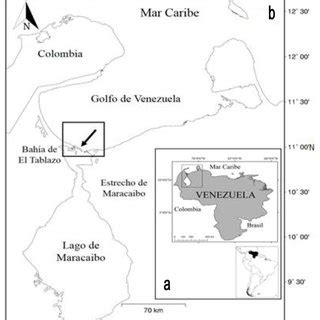 Sistema del Lago de Maracaibo. a  Indica la situación geográfica ...